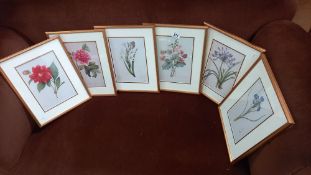 6 gilt framed & glazed Botanic prints (1 missing glass) COLLECT ONLY