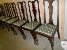 A set of six mahogany dining chairs on Queen Anne legs. COLLECT ONLY.