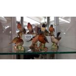 Nine Beswick bird figures including Greenfinch and Wren.