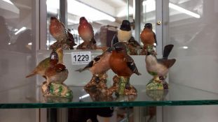 Nine Beswick bird figures including Greenfinch and Wren.