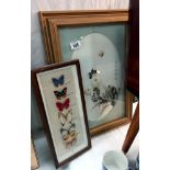 A framed and glazed Chinese study of chrysanthemums and butterflies and a framed and glazed set of 6