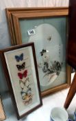 A framed and glazed Chinese study of chrysanthemums and butterflies and a framed and glazed set of 6