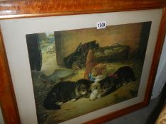 A framed and glazed print of kittens in a bard, COLLECT ONLY.