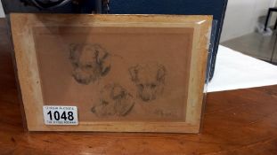A small unframed early pencil drawing featuring terrier dog profiles signed H Hime?