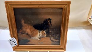 A small framed oil on board painting of two terriers by George Arnfield, signed and dated 1867.