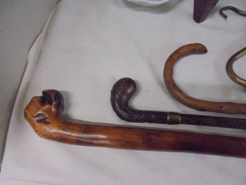 A 15ct gold banded walking stick, walking stick with carved boxer dog head, one other walking stick - Image 2 of 3