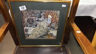 A framed and glazed watercolour of a peacock by Chistina Barrilt? COLLECT ONLY