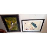 An oil on board of a great spotted woodpecker and a watercolour of one other COLLECT ONLY