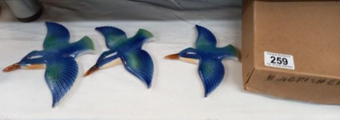 3 flying Kingfisher wall decorations