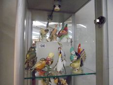 Ten collector's birds including Aynsley, continental etc.,