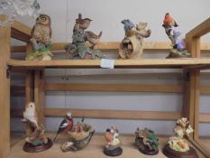 Nine assorted collector's bird including owls, robin etc., COLLECT ONLY.