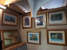 6 framed & glazed prints by Stephen Gayford, tiger, wolves, polar bear, leopard & a framed leopard