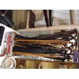 A large quantity of walking sticks including 3 umbrellas- collection only