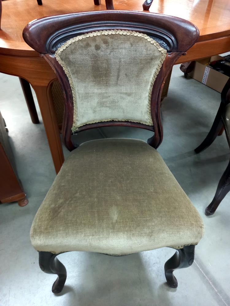 4 Edwardian dining chairs COLLECT ONLY - Image 2 of 5