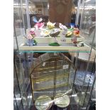 Twelve colourful porcelain butterflies with glass cabinet, COLLECT ONLY.