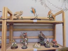 A mixed lot of bird figures including Country Artists, two shelves. COLLECT ONLY.