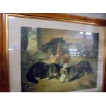 A framed and glazed print of kittens in a barn, COLLECT ONLY.