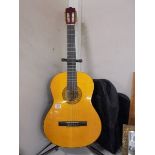 A Marun accoustic guitar with soft case, COLLECT ONLY.