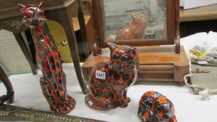 Three Anita Harris studio pottery cats.