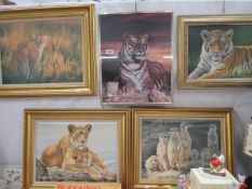 4 framed prints of tigers, leopards, meerkats by Stephen Gayford and a glazed tiger print, size of