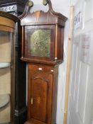 An oak 8 day Grandfather clock with brass dial, COLLECT ONLY
