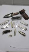 A mixed lot of collectable pen knives.