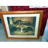 A framed and glazed print of kittens playing with an egg in a barn, COLLECT ONLY