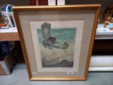 Framed and glazed print by Carol Anne Teasdale 'hunting owl and mouse no.6/300