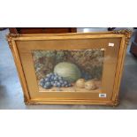 A gilt framed & glazed still life 54cm x 35cm COLLECT ONLY