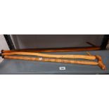 3 walking sticks (2 from tree branches) Collect only