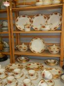 In excess of 60 pieces of Aynsley rose decorated tea and dinnerware, COLLECT ONLY.