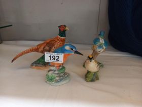 4 Beswick birds including Pheasant, blue tit etc