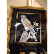 2 gilt framed silvered pictures of a kestrel and a peregrin falcon COLLECT ONLY