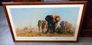 David Shepard OBE. A fine art print published by Solmon @whitehead . Titled the Ivory is Theirs.