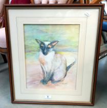 A framed & glazed print of a Siamese cat, signed Mona Art (47cm x 54cm) COLLECT ONLY