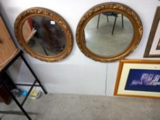 A pair of 60cm diameter gilt framed mirrors