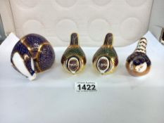 Four Royal Crown Derby including Badger and 3 birds paperweights - Gold Stoppers