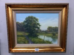 A gilt framed oil on canvas of Trees signed 43 x 53 cm