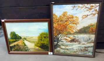 A signed J Hopewell 20th century oil on board, waterfall, & a oil on board by Audrey Johnson,
