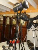 A pair of new Courtnay 300s studio lights with light deflectors, stands, cases etc., COLLECT ONLY.