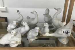 9 Nao geese/duck figurines & a Lladro goose