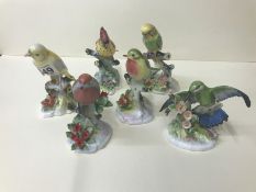 6 Royal Adderley bird figurines