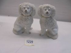 A pair of old Staffordshire poodles.