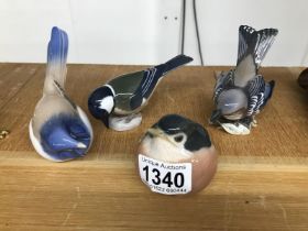 4 Copenhagen birds