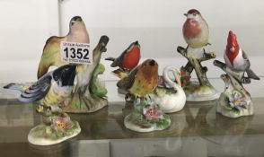 7 Royal Adderley bird figures