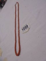 A vintage coral necklace with 9ct gold stamped clasp.