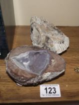 A cut crystal geode and a fossil