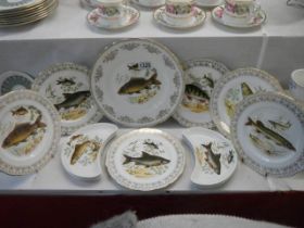 Eleven pieces of Gainsborough bone china fish decorated porcelain, COLLECT ONLY.