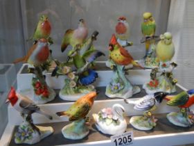 Thirteen various bird ornaments.