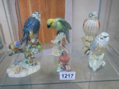 Six various bird figures including Beswick Parrot, Beswick Bird of Prey, Royal Worcester Chaffinch
